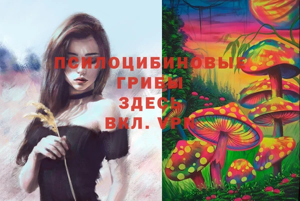 спайс Верхний Тагил